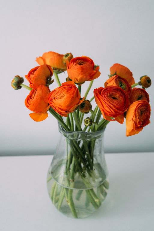 Jennifer Tunmer offering social media management services, creating engaging content, and developing strategies for organic growth and strong online communities. Image of colorful roses created brighter than other components of image .”
