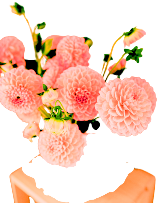 Jennifer Tunmer offering social media management services, creating engaging content, and developing strategies for organic growth and strong online communities. Image of colorful roses and a laptop.”
