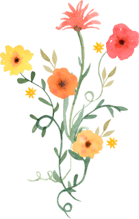 Colorful flowers bouquet