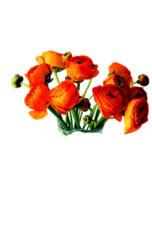 Jennifer Tunmer offering social media management services, creating engaging content, and developing strategies for organic growth and strong online communities. Professional graphics included in social media management. 
