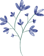 Flower Blossom Leaves in Water Color for Decorative